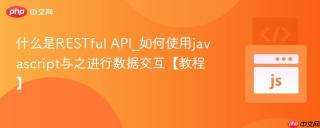 什么是RESTful API_如何使用javascript与之进行数据交互【教程】