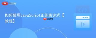 如何使用JavaScript正则表达式【教程】