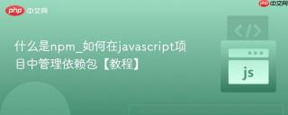 什么是npm_如何在javascript项目中管理依赖包【教程】