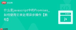 什么是javascript中的promises_如何使用它来处理异步操作【教程】