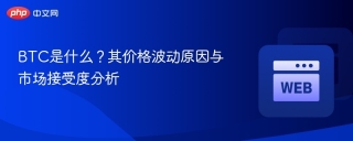 BTC是什么？其价格波动原因与市场接受度分析