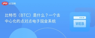 比特币（BTC）是什么？一个去中心化的点对点电子现金系统