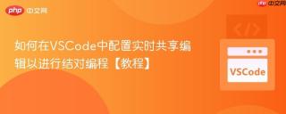 如何在VSCode中配置实时共享编辑以进行结对编程【教程】