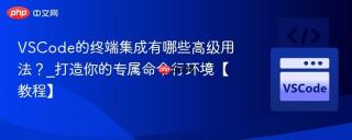 VSCode的终端集成有哪些高级用法？_打造你的专属命令行环境【教程】
