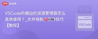 VSCode的侧边栏资源管理器怎么高效使用？_文件导航与操作技巧【教程】