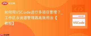 如何用VSCode进行多项目管理？_工作区与资源管理器高效用法【教程】