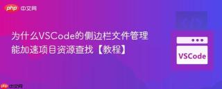 为什么VSCode的侧边栏文件管理能加速项目资源查找【教程】