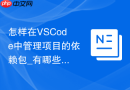 怎样在VSCode中管理项目的依赖包_有哪些可视化的管理工具【教程】