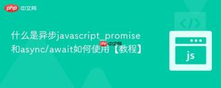 什么是异步javascript_promise和async/await如何使用【教程】