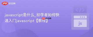 javascript是什么_初学者如何快速入门javascript【教程】
