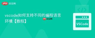 vscode如何支持不同的编程语言环境【教程】