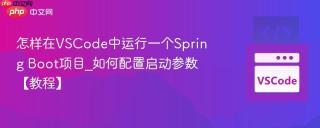 怎样在VSCode中运行一个Spring Boot项目_如何配置启动参数【教程】