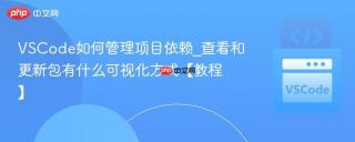 VSCode如何管理项目依赖_查看和更新包有什么可视化方式【教程】