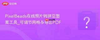 PixelBeads在线照片转拼豆图案工具_可调节网格与导出PDF