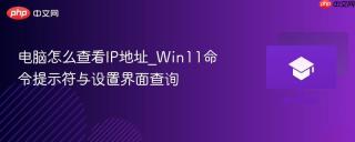 电脑怎么查看IP地址_Win11命令提示符与设置界面查询
