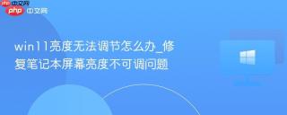 win11亮度无法调节怎么办_修复笔记本屏幕亮度不可调问题