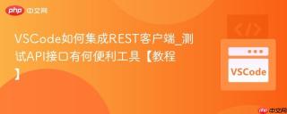 vscode如何集成rest客户端_测试api接口有何便利工具【教程】