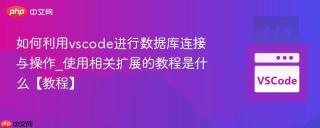 如何利用vscode进行数据库连接与操作_使用相关扩展的教程是什么【教程】