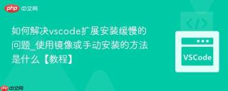 如何解决vscode扩展安装缓慢的问题_使用镜像或手动安装的方法是什么【教程】