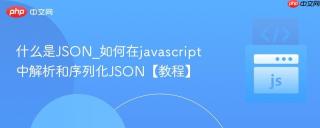 什么是JSON_如何在javascript中解析和序列化JSON【教程】