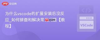 为什么vscode的扩展安装后没反应_如何排查和解决常见问题【教程】