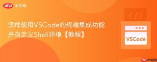 怎样使用VSCode的终端集成功能并自定义Shell环境【教程】