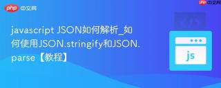javascript JSON如何解析_如何使用JSON.stringify和JSON.parse【教程】