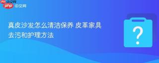 真皮沙发怎么清洁保养 皮革家具去污和护理方法