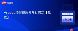 Vscode如何使用命令行启动【教程】