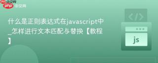 什么是正则表达式在javascript中_怎样进行文本匹配与替换【教程】