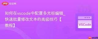 如何在vscode中配置多光标编辑_快速批量修改文本的高级技巧【教程】