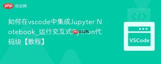 如何在vscode中集成Jupyter Notebook_运行交互式Python代码块【教程】