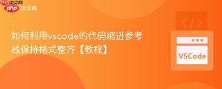 如何利用vscode的代码缩进参考线保持格式整齐【教程】