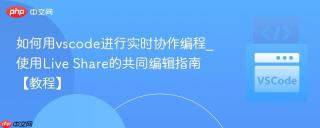 如何用vscode进行实时协作编程_使用Live Share的共同编辑指南【教程】