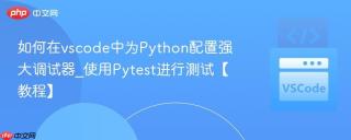 如何在vscode中为Python配置强大调试器_使用Pytest进行测试【教程】
