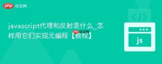 javascript代理和反射是什么_怎样用它们实现元编程【教程】