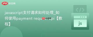 javascript支付请求如何处理_如何使用payment request api【教程】