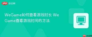 WeGame如何查看游戏时长 WeGame查看游戏时间的方法