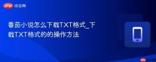 番茄小说怎么下载txt格式_下载txt格式的的操作方法