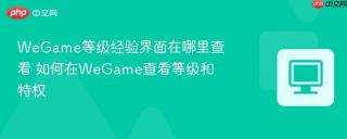 WeGame等级经验界面在哪里查看 如何在WeGame查看等级和特权