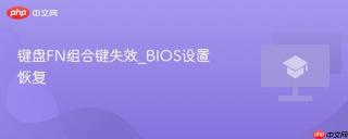 键盘fn组合键失效_bios设置恢复