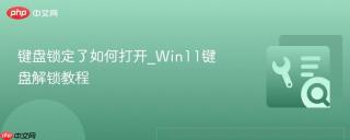 键盘锁定了如何打开_Win11键盘解锁教程