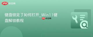 键盘锁定了如何打开_win11键盘解锁教程