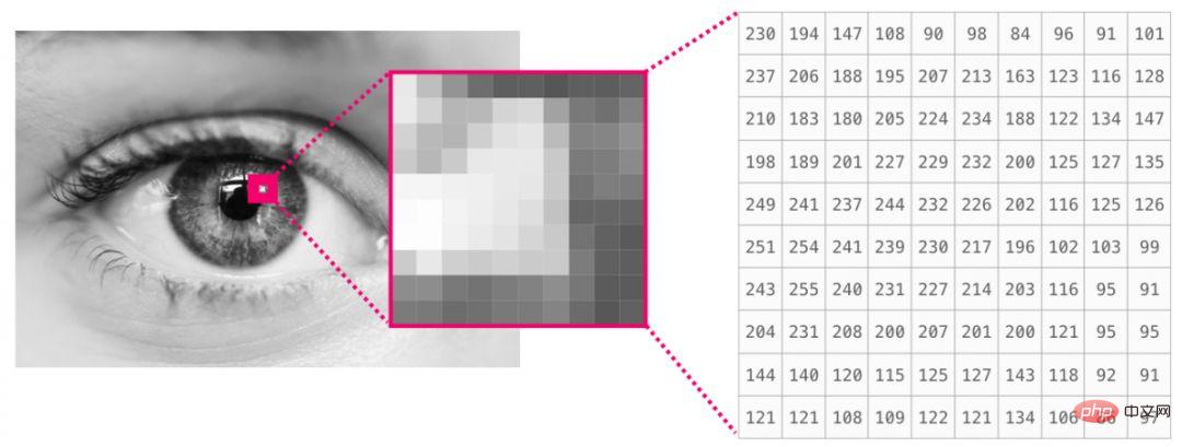 Tipps |. Dies ist wahrscheinlich das beste grafische NumPy-Tutorial, das ich je gesehen habe!