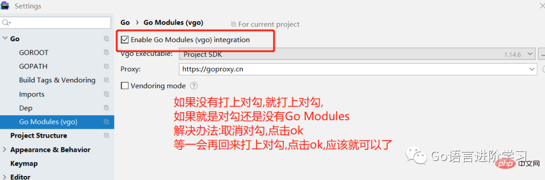 一篇文章教会你如何使用Go语言Modules