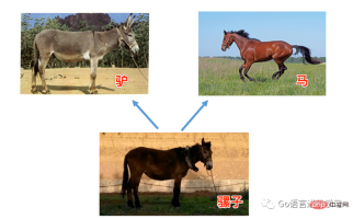 Taking stock of inheritance and polymorphism in Python