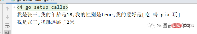 一篇文章教会你Go语言基础之结构体反射