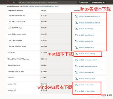 My girlfriend cried and said she couldn't learn Java. That night I taught her the basics...