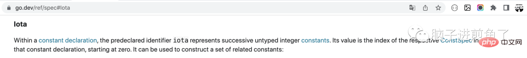 Why did Go design the iota constant?