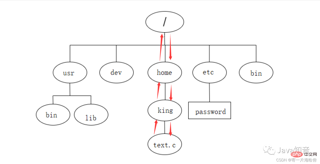 萬字詳解 Linux 常用指令（值得收藏）